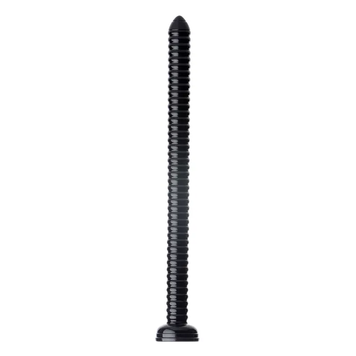Anal | XR Brands Hosed 19 Inch Anal Snake