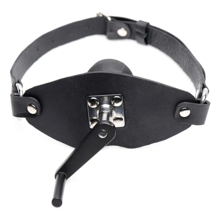Crank Ball Gag | XR Brands Male Sex Toys