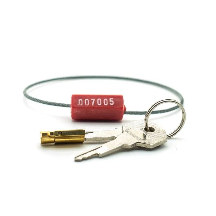 Soulock Male Sex Toys | Male Chastity Lock  Anti-Tamper Security Tags